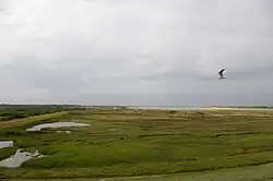 SP 4 Waddenwandelen: de Slufter op Texel