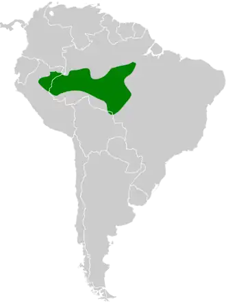 Sombere mierklauwier