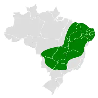 Planaltomierklauwier