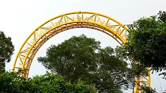 Golden Loop