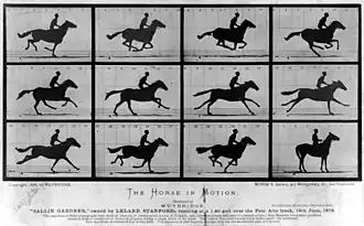 Sallie Gardner at a Gallop