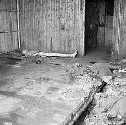 Bevrijding van het Kamp Sandbostel.