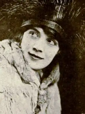 Nova in 1919