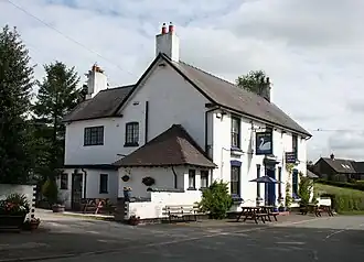 The Swan