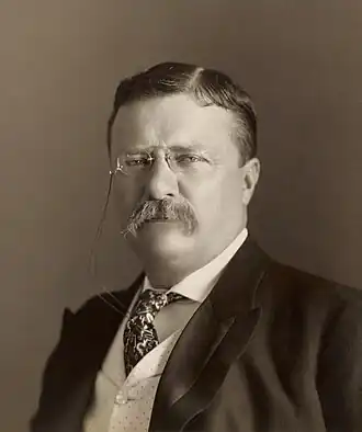 Theodore Roosevelt in 1904