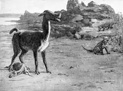 Theosodon en Borhyaena