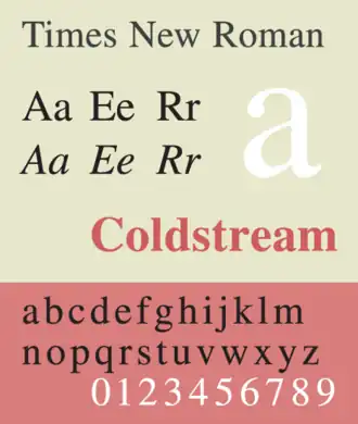 Voorbeeld van Times New Roman