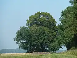 Tumulus van Ramelot