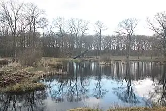 Tjasker Bollenveen, 29 maart 2009