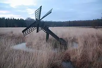 Tjasker Grolloo (januari 2009)