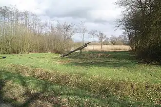 De Tjasker Meestersveen, 29 maart 2009