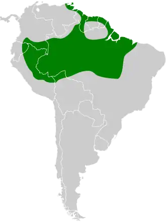 Gevlekte schoffelsnavel