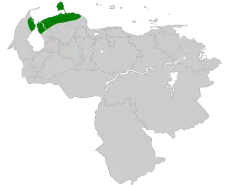 Kortstaartschoffelsnavel