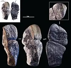 Driedimensionale fallische hanger uit Tolbor-21, laatpaleolithicum