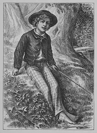 De lotgevallen van Tom Sawyer