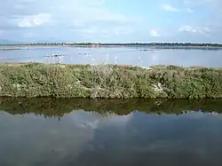 Vanaf de ene tombolo kijkend naar de andere (met flamingos)