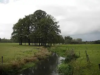 Tongelreep bij Achtereind (Aalst)