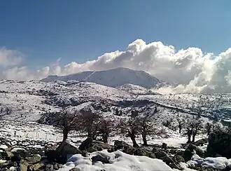 Pico Torrecilla gezien vanaf Puerto de los Pilones, nationaal park Sierra de las Nieves