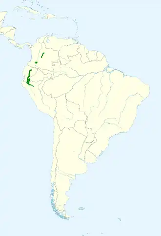 Bruinschouderpapegaai