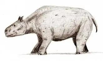 Toxodon