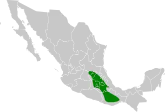 Gevlekte spotlijster