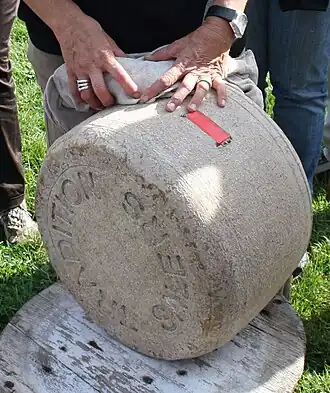 Salers "Tradition" van 'la ferme de M. et Mme Favre in Buron de la Reiche (2010)