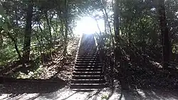 Trapjesberg, Crailose Bos gemeente Huizen