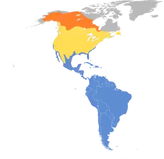 Kleine geelpootruiter