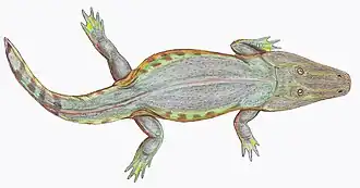 Tryphosuchus