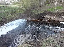 De Tuhala voordat hij de grond in "zinkt"