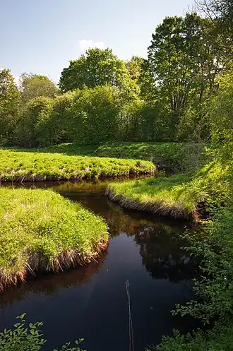 De Tuhala in het Tuhala karstgebied