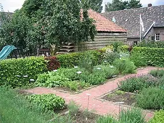 Kruidentuin van het museum