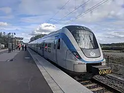 De pendeltåg langs het perron.