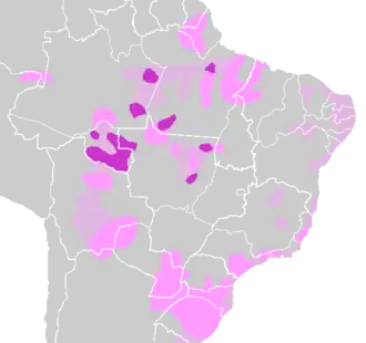 Kaart van de verspreiding van het Tupi, waarbij de roze delen voor het Topi-Guarani, staan en het paars voor de overige dialecten staat.
