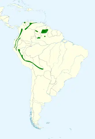 Taczanowski's lijster