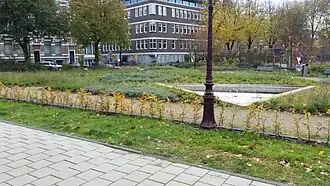 Tweede Weteringsplantsoen, voor de fontein, achter de speeltuin; november 2019.