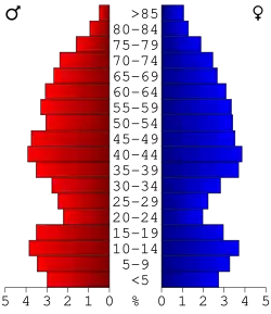 Bevolkingspiramide Antrim County