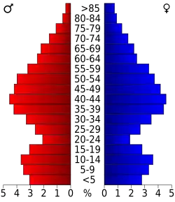 Bevolkingspiramide Bedford County