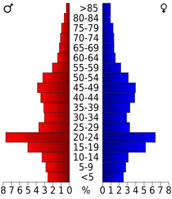 Bevolkingspiramide Benton County