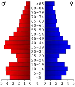 Bevolkingspiramide Benton County