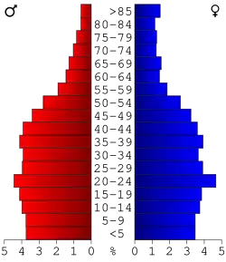 Bevolkingspiramide Benton County