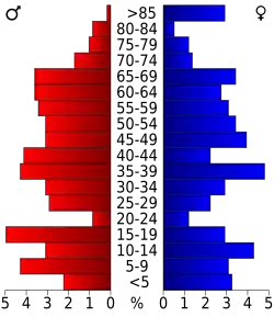 Bevolkingspiramide Blaine County