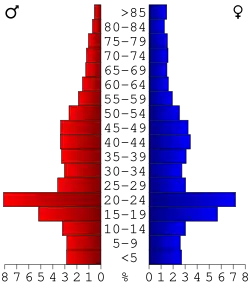 Bevolkingspiramide Blue Earth County