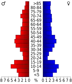 Bevolkingspiramide Boone County