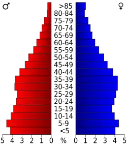 Bevolkingspiramide Bronx County