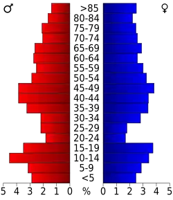 Bevolkingspiramide Brown County