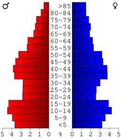 Bevolkingspiramide Buchanan County