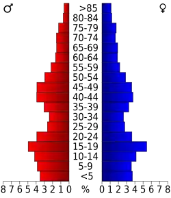 Bevolkingspiramide Carbon County