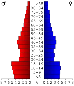 Bevolkingspiramide Cassia County