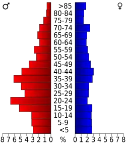 Bevolkingspiramide Childress County